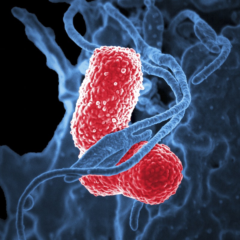 What’s your Latino background? You could be infected with Helicobacter Pylori