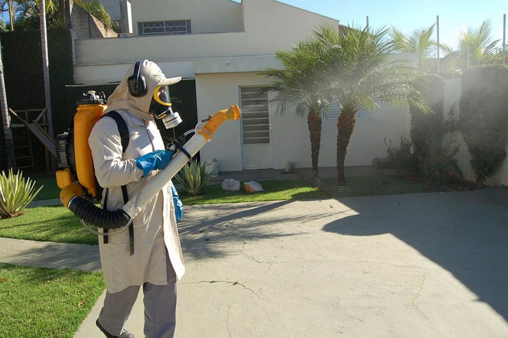 municipal agent fulmigating in brazil
