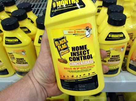 home insect control