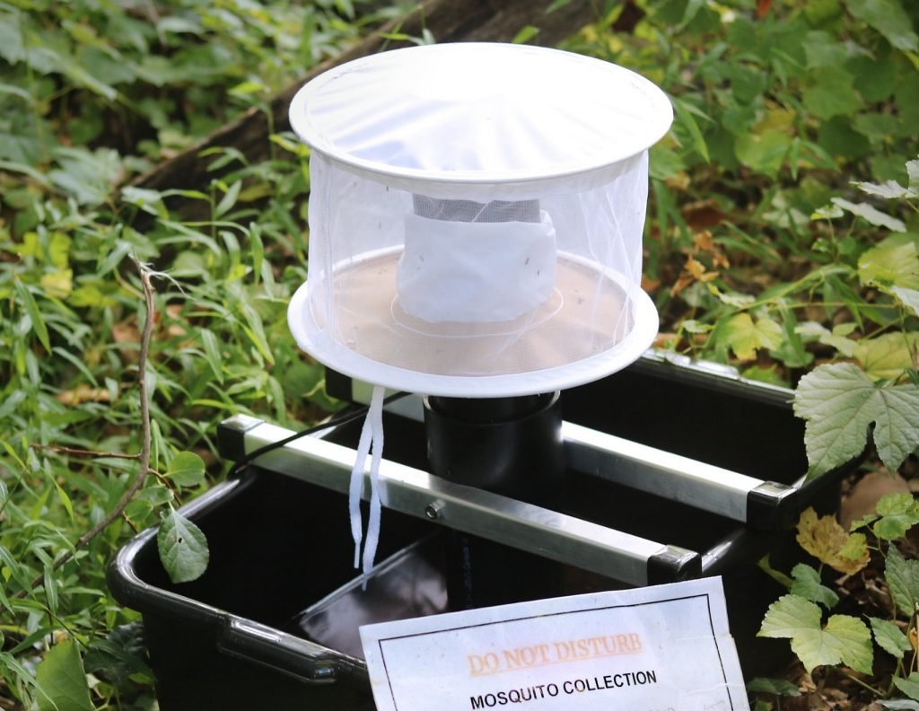 Figure 1. CDC Gravid Trap for mosquito surveillance and pathogen testing. Source: NIAID, Flickr.