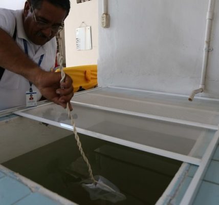 dengue collection in the community