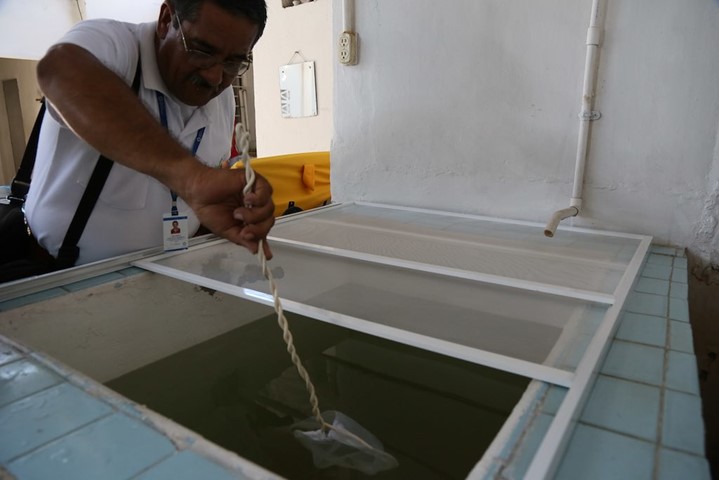 dengue collection in the community
