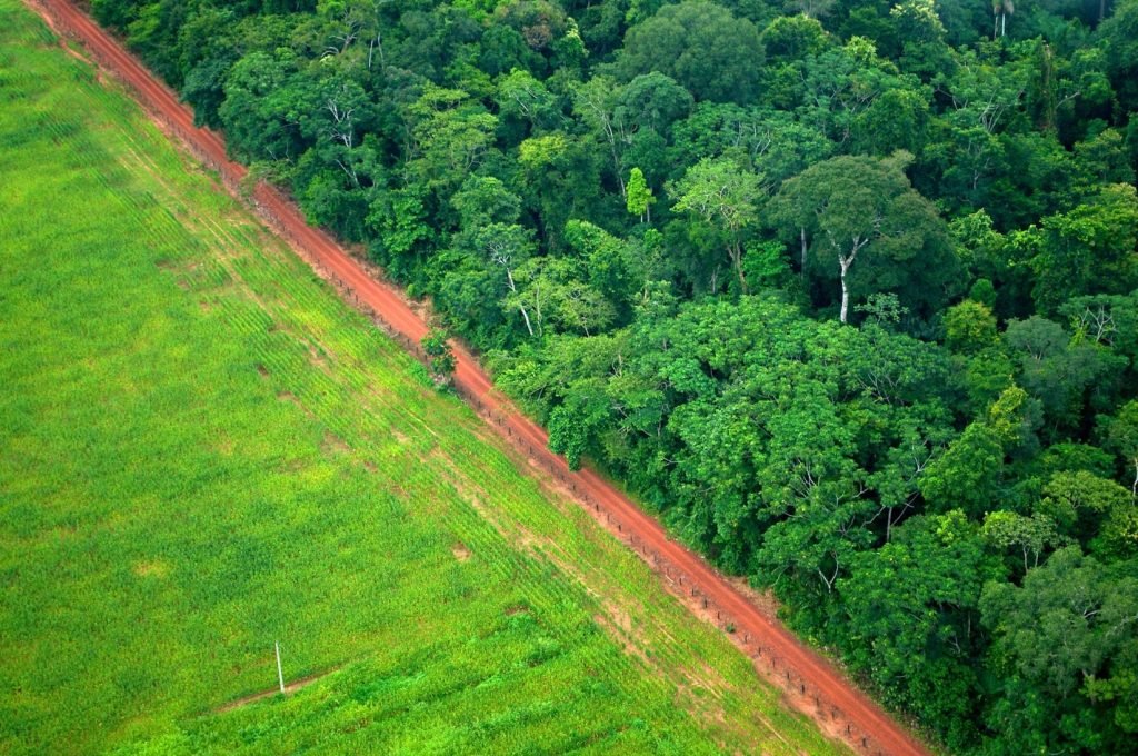 Deforestation near Rio Branco, Acre, Brazil. Source: CIFOR-ICRAF via Flickr.