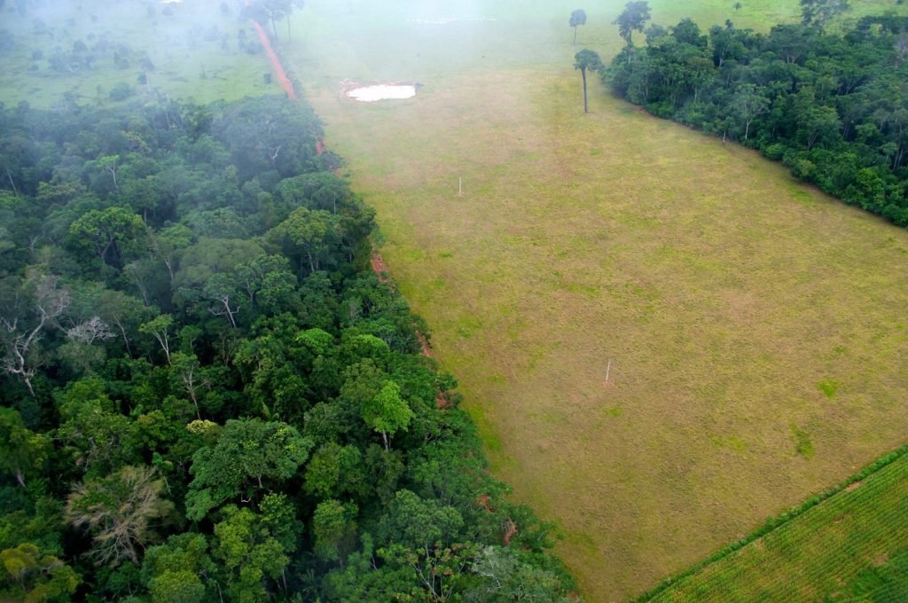 Deforestation in Brazil. Source: CIFOR-ICRAF via Flickr.