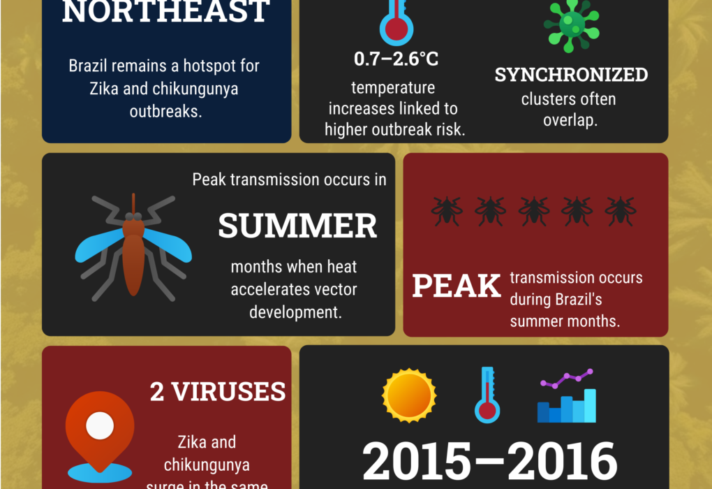 infographic about Zika and chikungunya spread in northeastern brazil