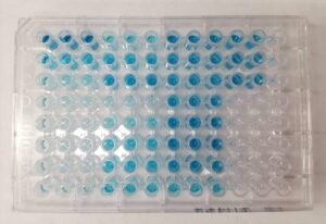 ELISA assay plate