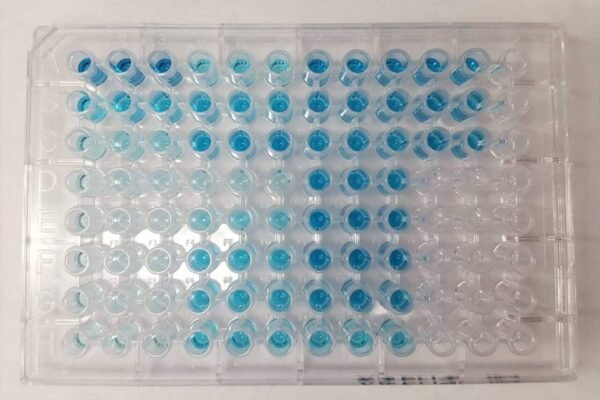 ELISA assay plate