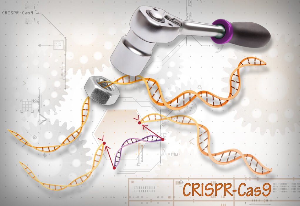 CRISPR image