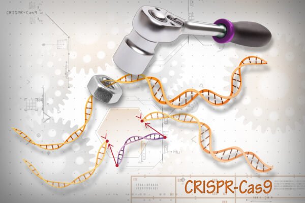 CRISPR image