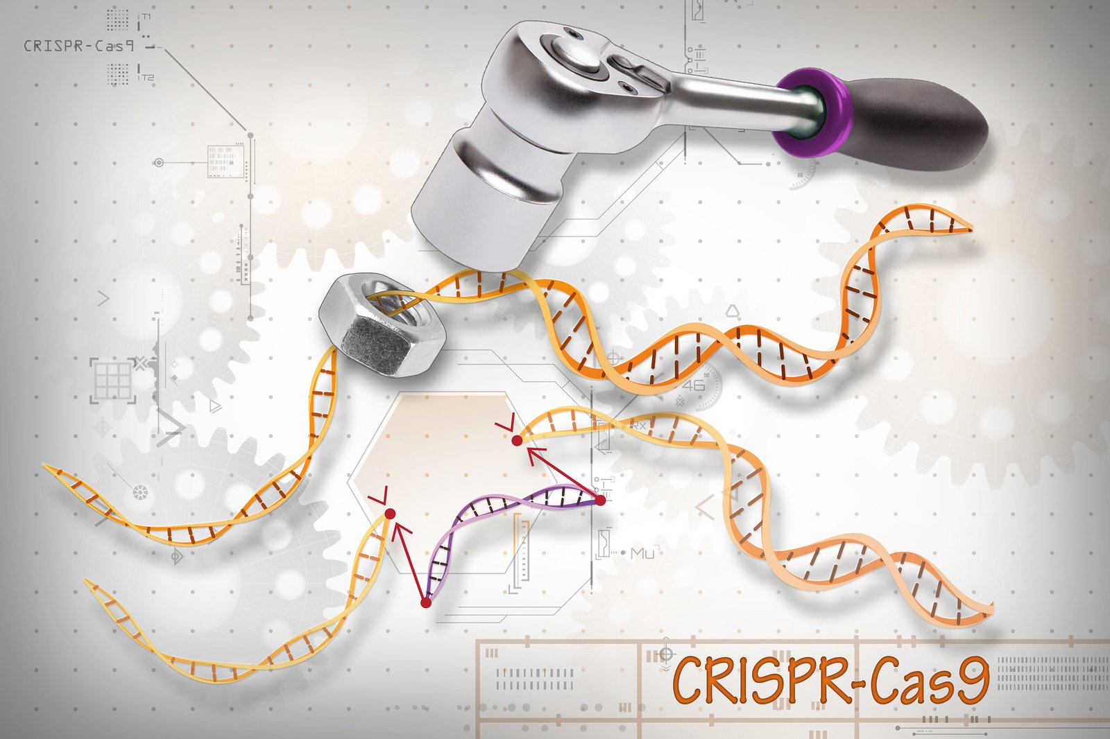 CRISPR image