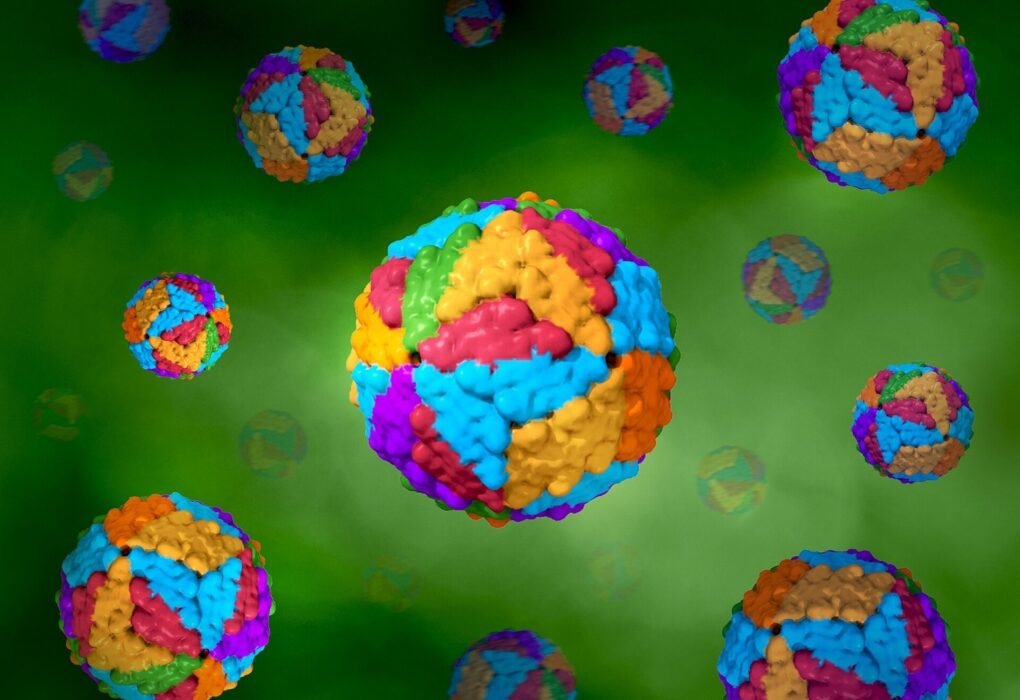 dengue virus particle