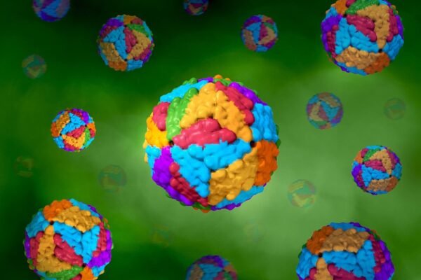 dengue virus particle