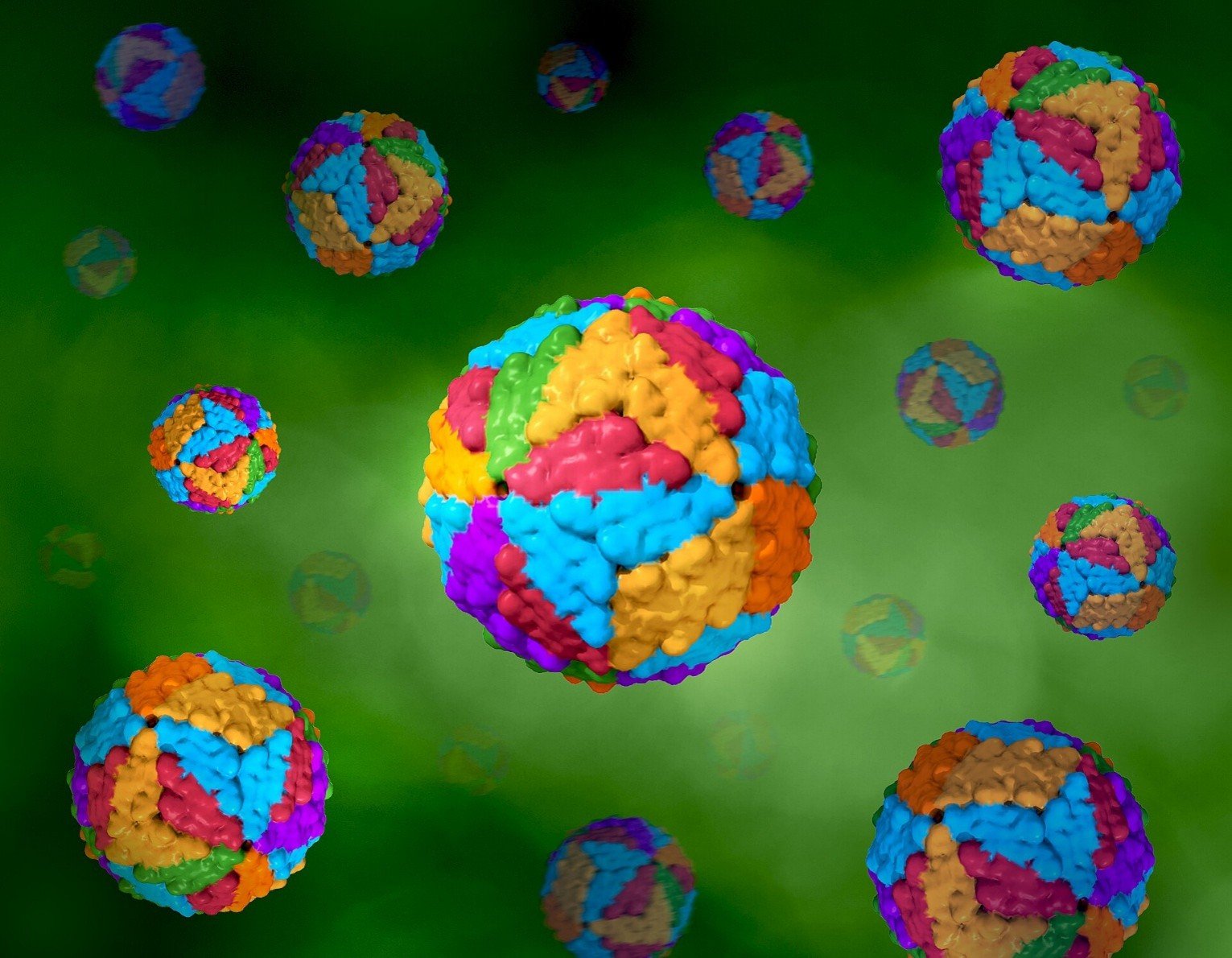 dengue virus particle